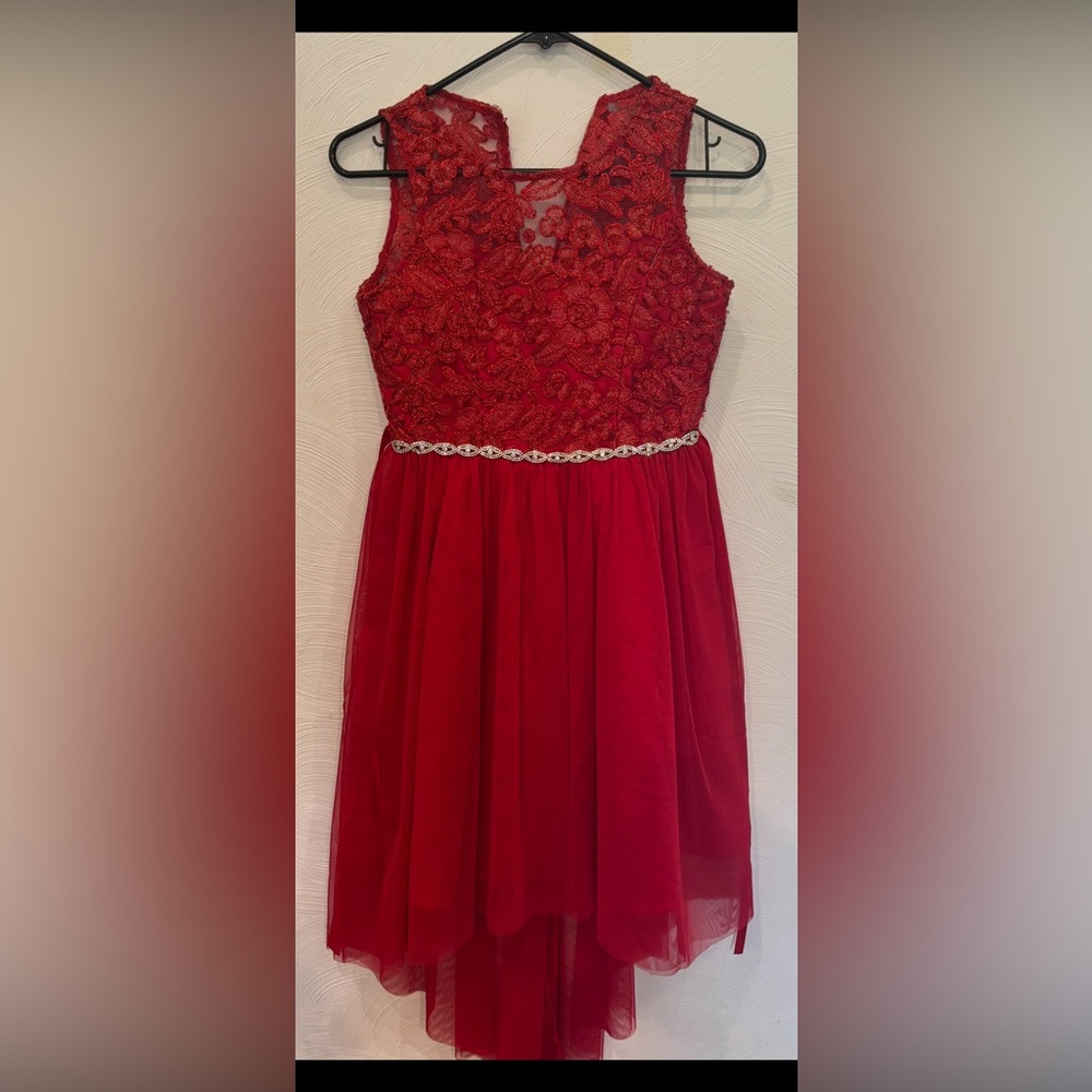 Rare Editions Girls Red Floral Lace Dress